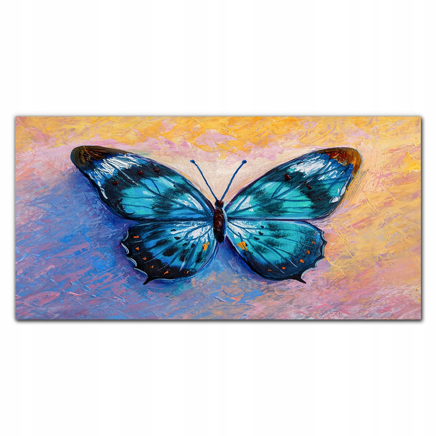 Foto-obraz na plátne Motýľ, farebný hmyz 140x70