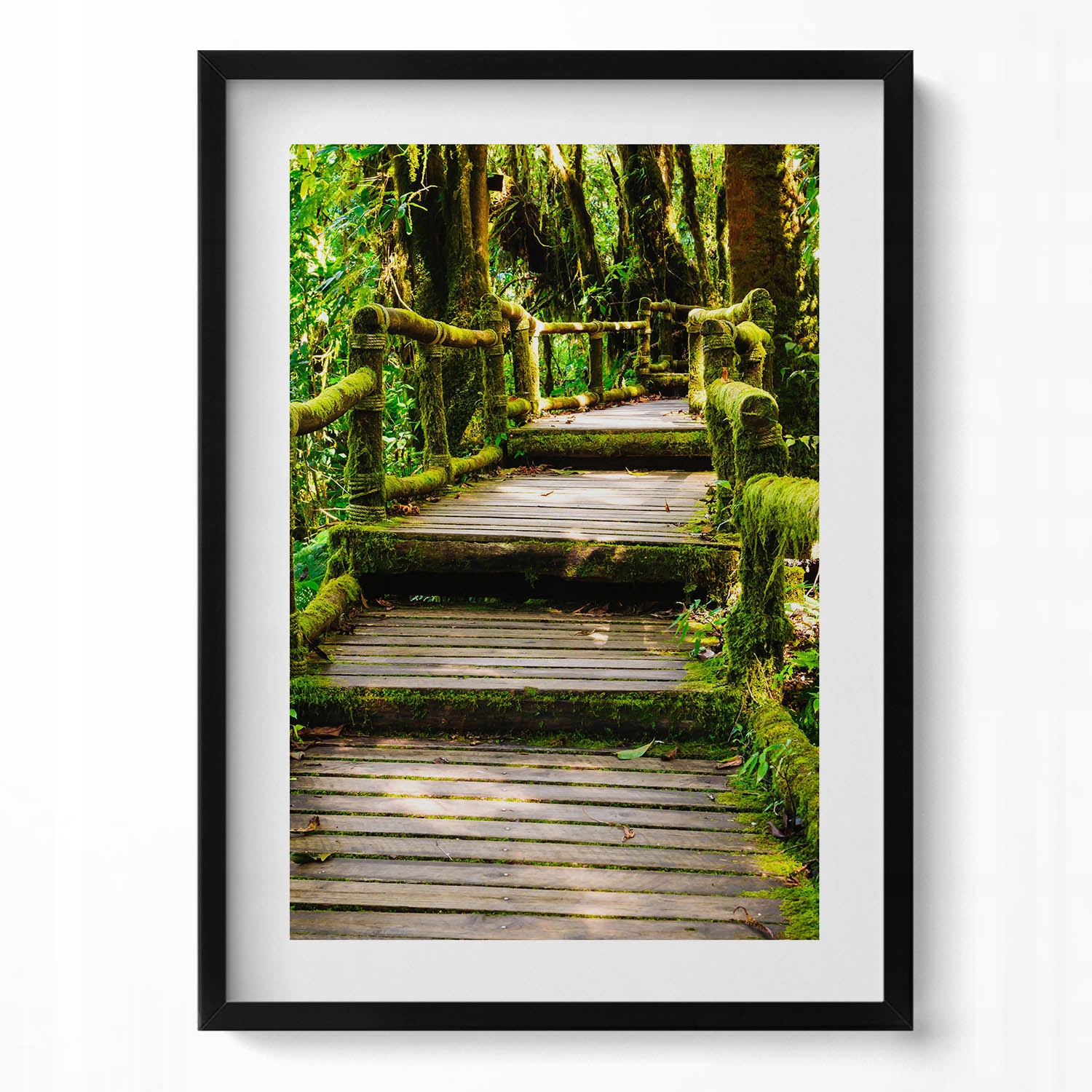 Nástěnný obraz do obývacího pokoje kuchyně Dřevěný chodník agroturistika 50x70 cm