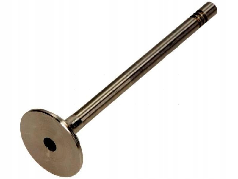 Freccia R6198 / BM выпускной клапан