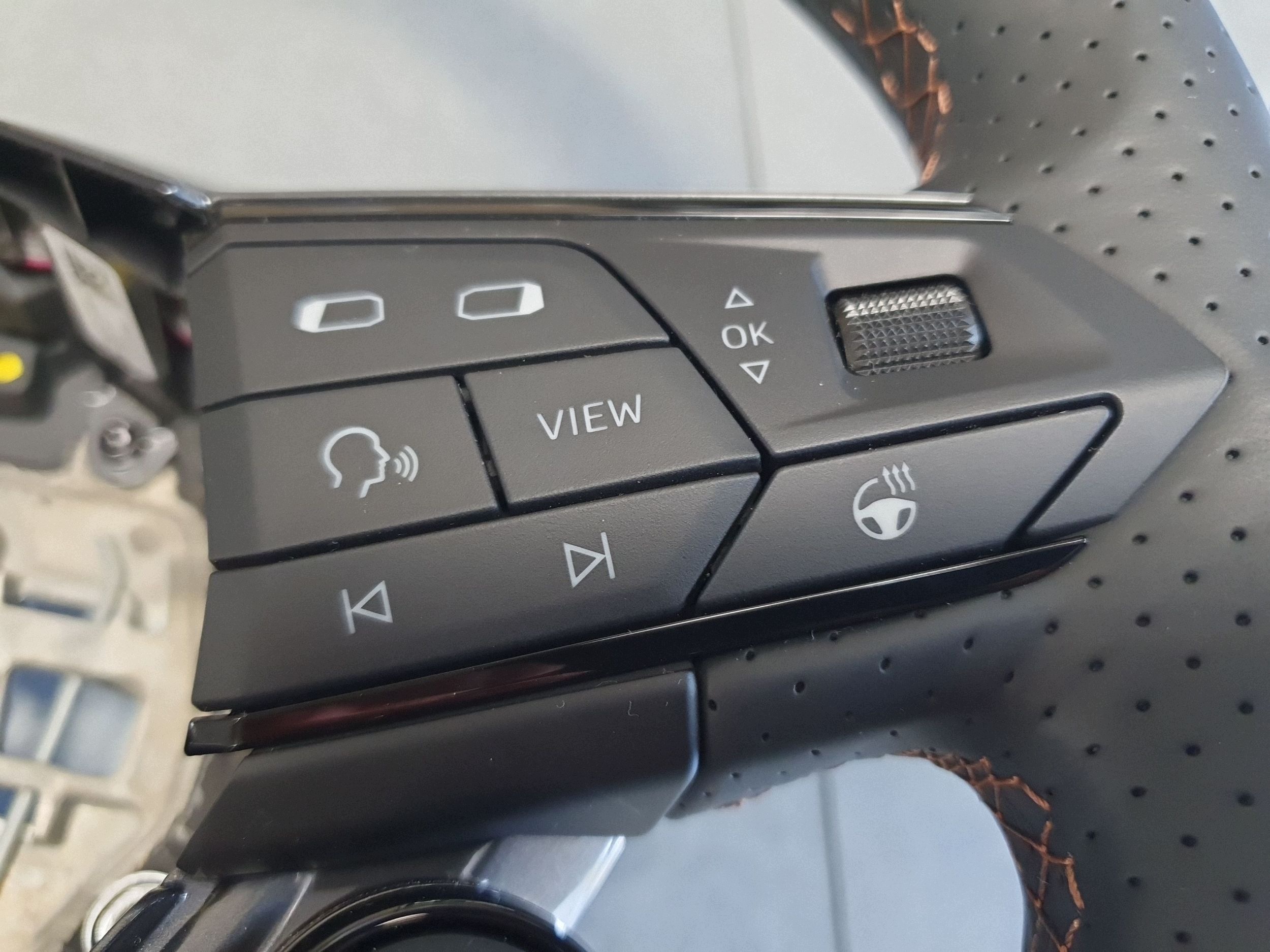 Cupra Leon IV lenkrad Leder multi 5FA419091FT