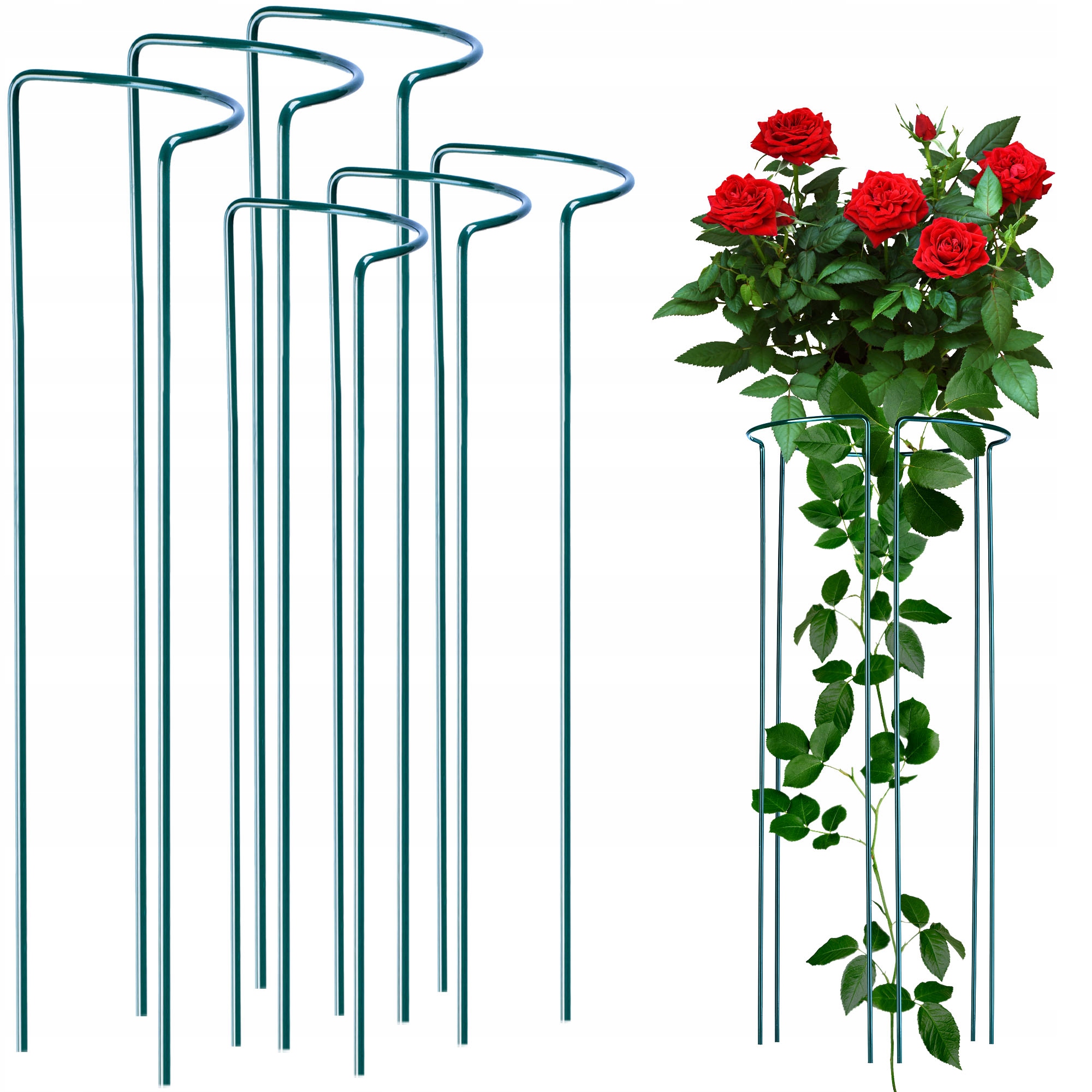 

Podpora Do Roślin Kwiatów Obejma 3x90 3x115cm