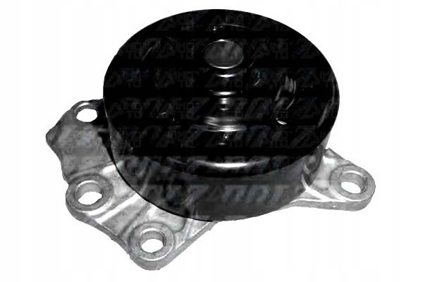 Dolz Vodní Čerpadlo Citroen Dolz