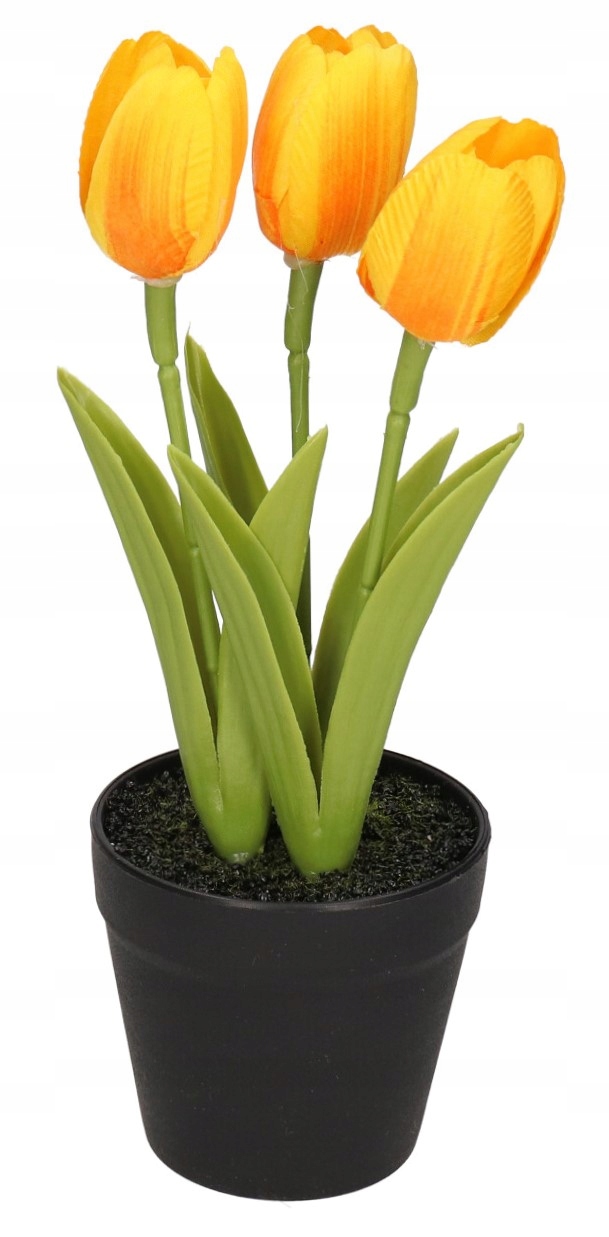 

Tulipany Bukiet Tulipanów Kwiaty Gumowe Jak Żywe