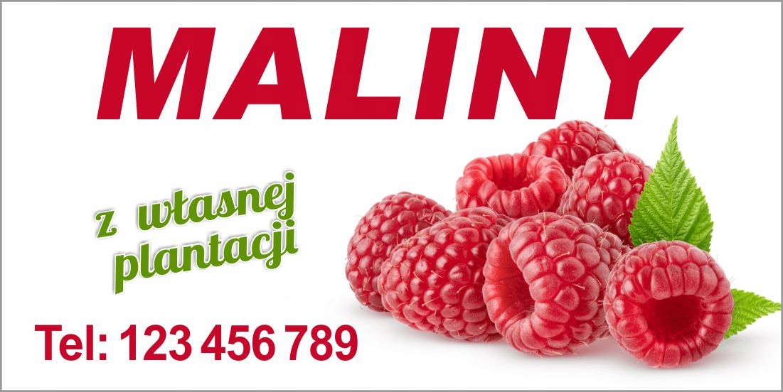 BANER MALINY SPRZEDAŻ MALIN 200X100