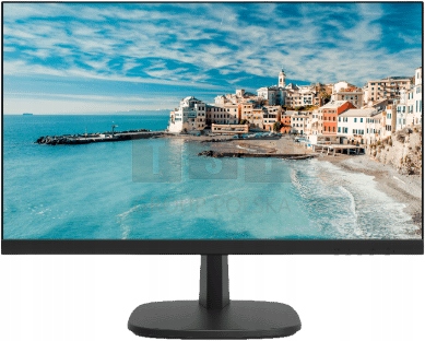 Monitor DS-D5024FN Hikvision