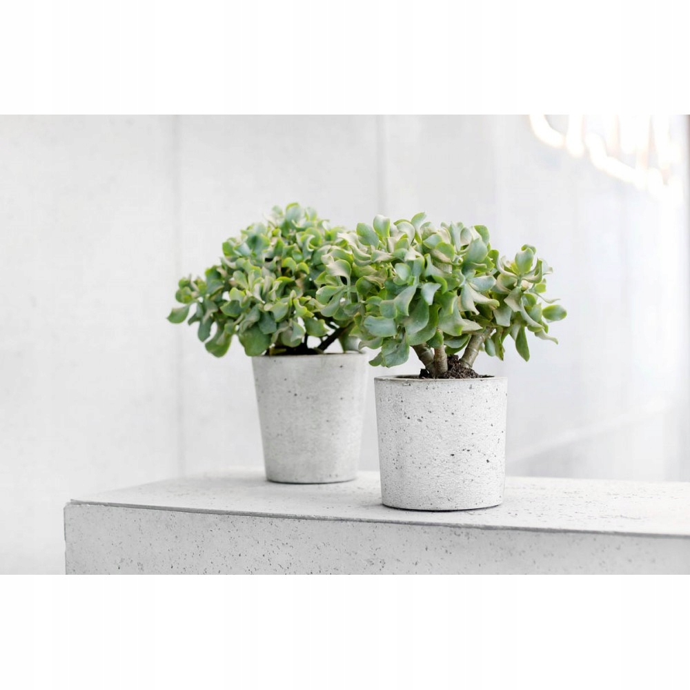 DONICZKA BETONOWA 13x10cm - BETON ARCHITEKTONICZNY EAN (GTIN) 5903553173861