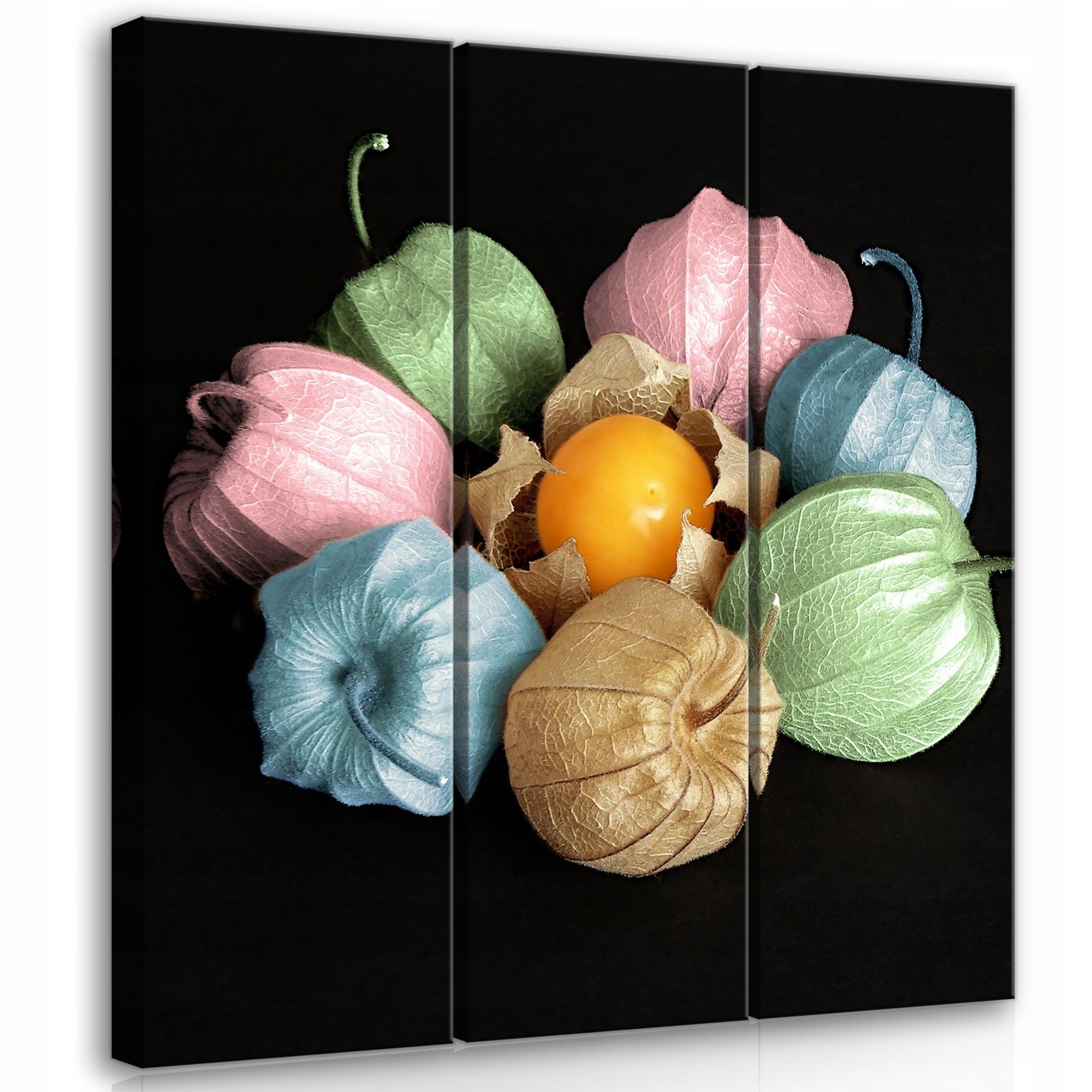 Obraz 90x100 Fizalis bobule podzim barvy pozadí příroda dekorace umění