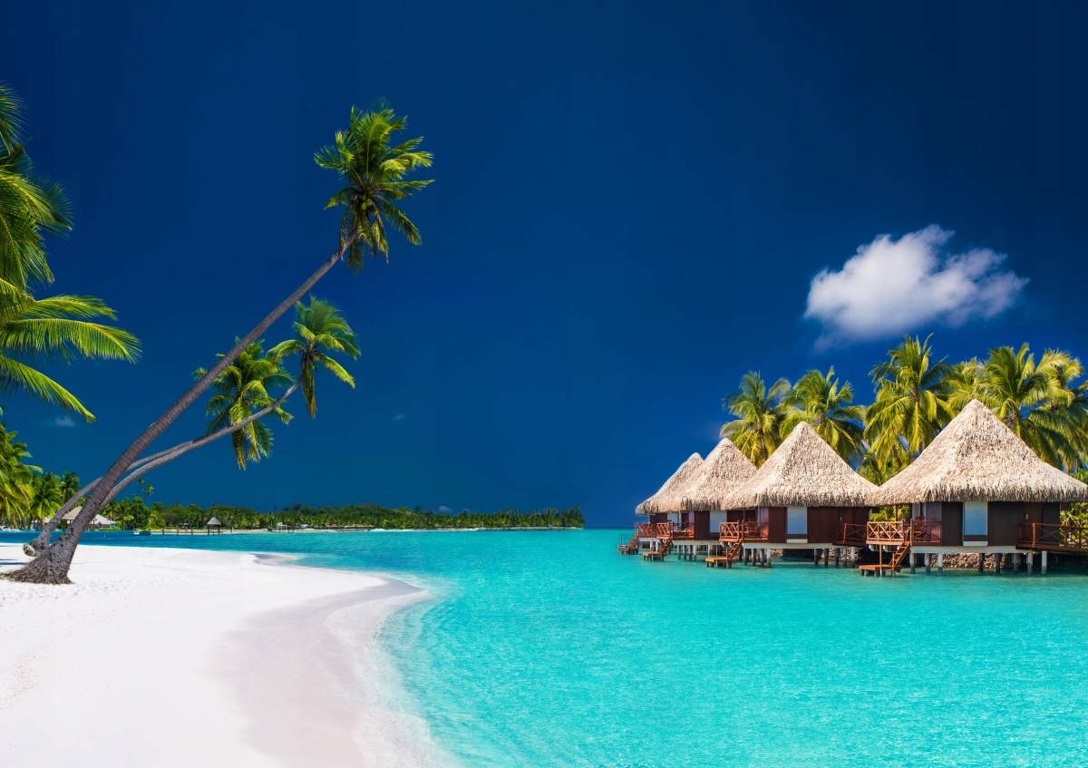 

Fototapeta Flizelinowa Plaża Palmy 208x146