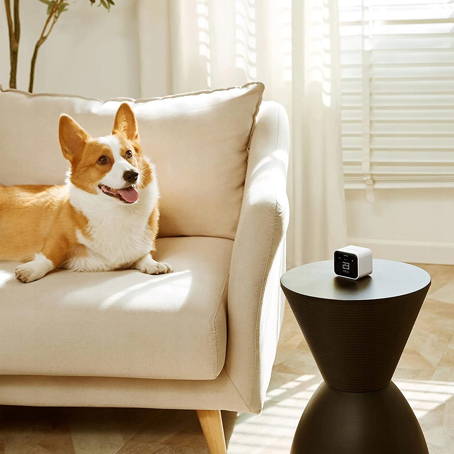 MONITOR PM2.5 PM10 CO2 TEMPERATURA WILGOTNOŚĆ POWIETRZA Komunikacja WiFi