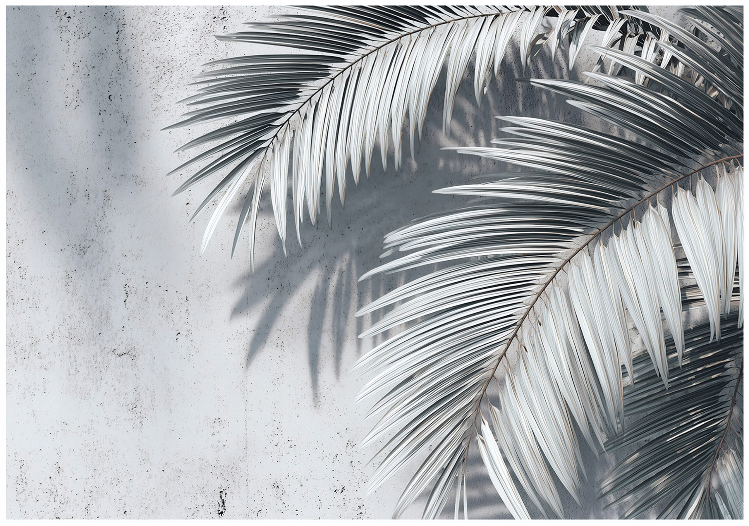 Fototapeta Listy Palmy Beton Ložnice Obývací Pokoj Tapeta Flizelina 150x105