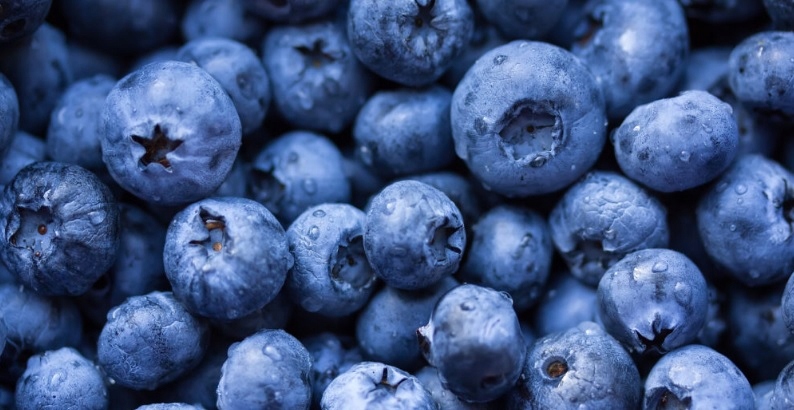 FERTICAPS Kapsułki Nawozowe do BORÓWEK JAGÓD x14 Forma granulat