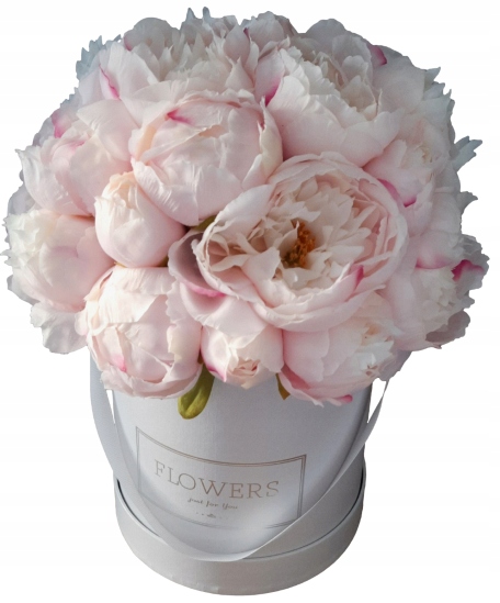 Flower Box pivonky peónie ružové Pivonie Peonie pivonka pivónia púčiky kvety