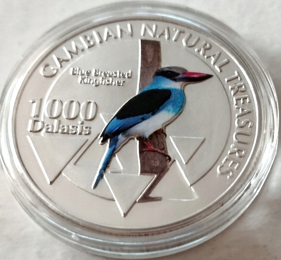 GAMBIA - 1.000 DALASI 2015 UNC, ZIMORODEK KAMERUŃSKI, KOLOR !!!