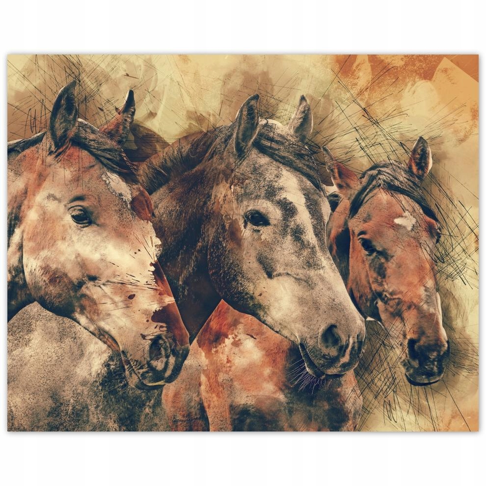 

Plakat 50x40 Końskie łby Koń Konie