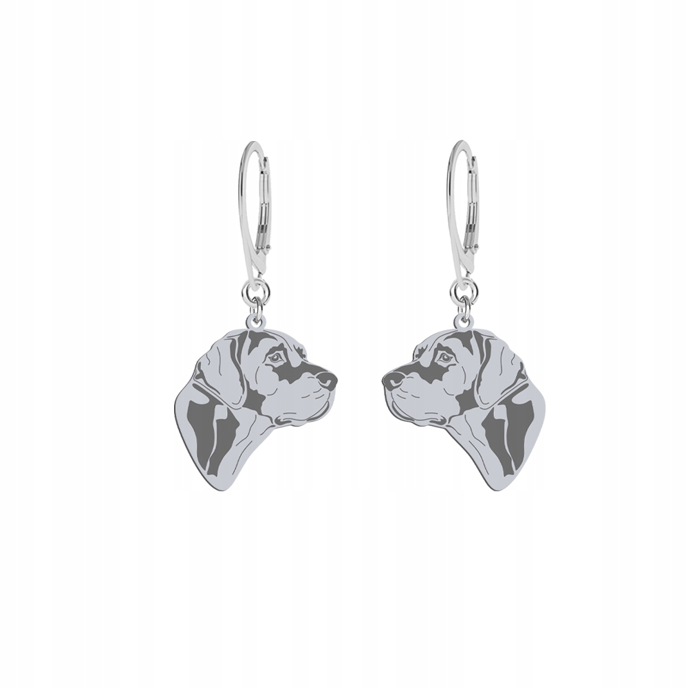 Stříbrné Náušnice se psem Louisiana Catahoula 925 Dárek Šperky Gravírování