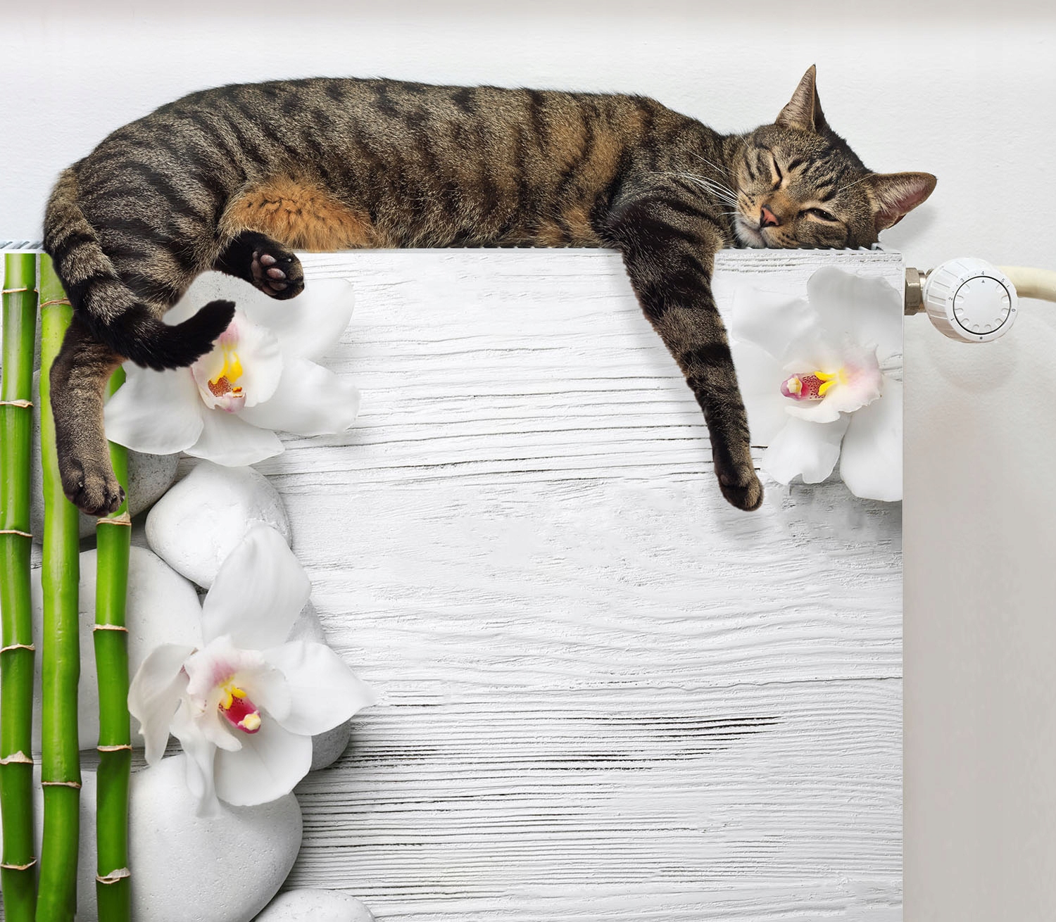 MAGNES NA KALORYFER GRZEJNIK 80x60 KWIATY FOTOTAPETA Rodzaj produkt gotowy