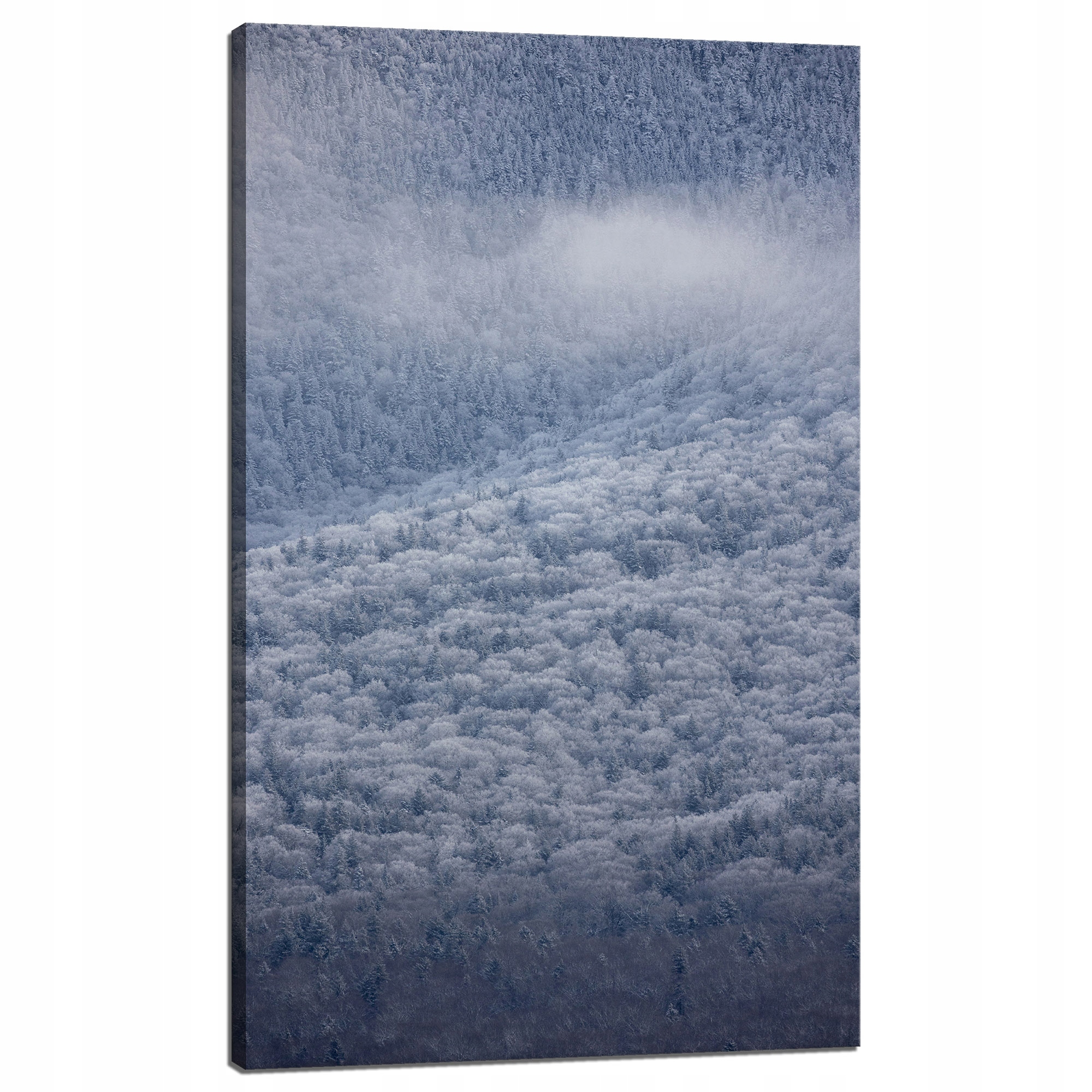 Obraz Canvas Příroda Zasněžený les Zima 60x100 cm