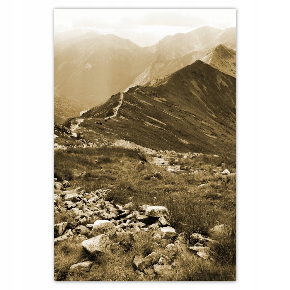 

Plakaty 62x93 Tatry Polskie góry Widok