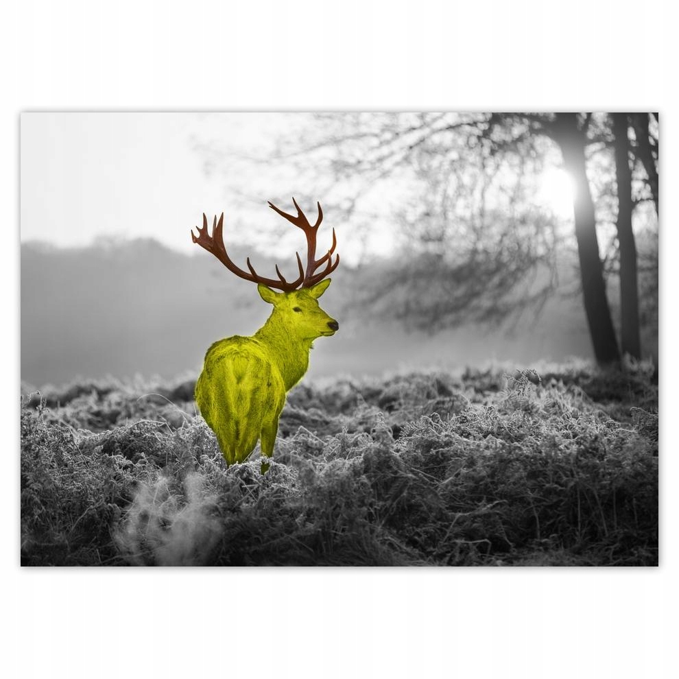 

Naklejki 70x50 Żółty jeleń Las Pejzaż