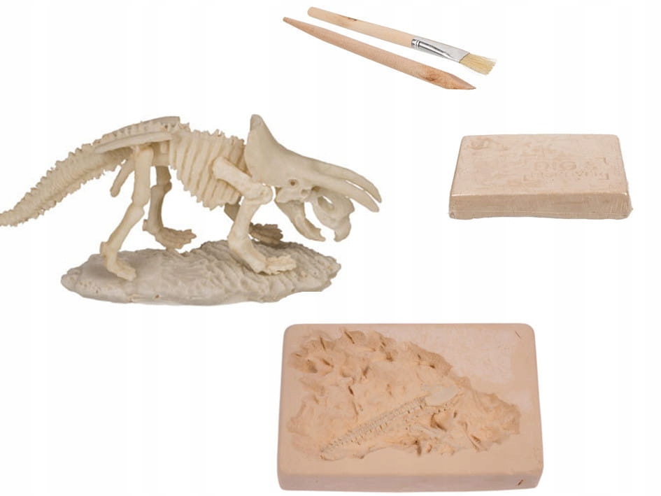 

Odkryj Szkielet Dinozaura XL Zestaw Archeologa