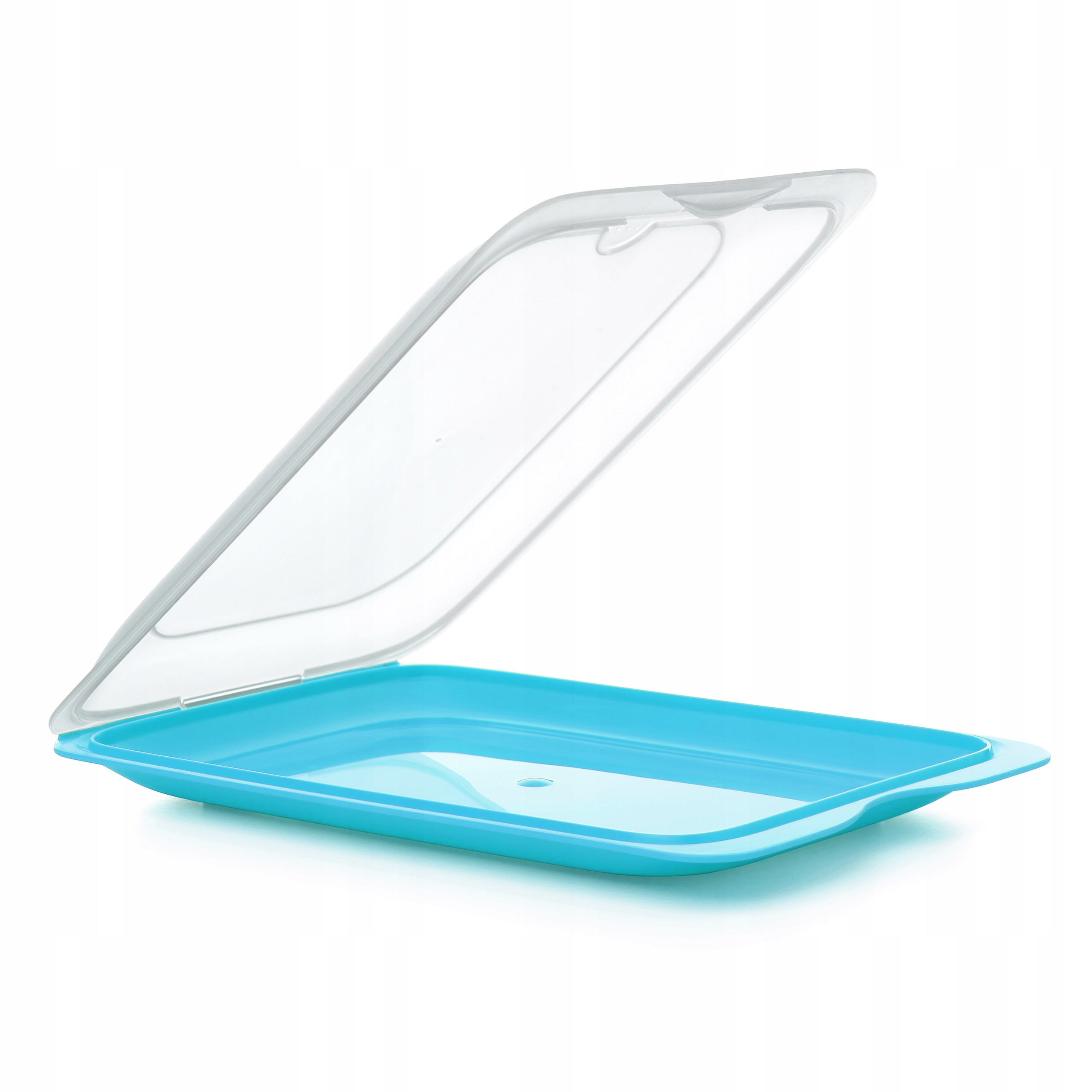 Pojemnik na wędlinę sery do lodówki Niebieski