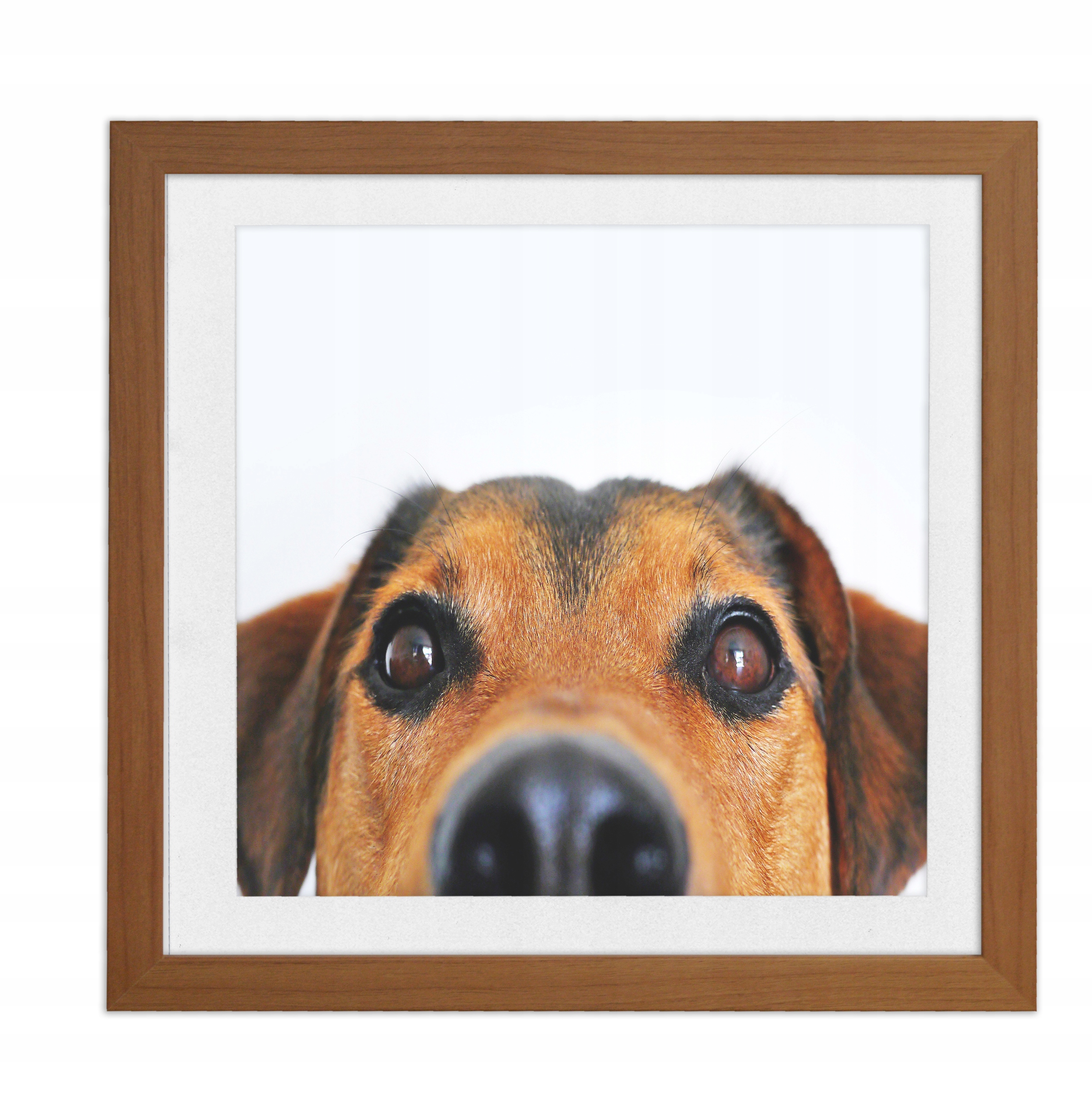 

Ramka kwadratowa 20x20 passe-partout 15x15 olcha