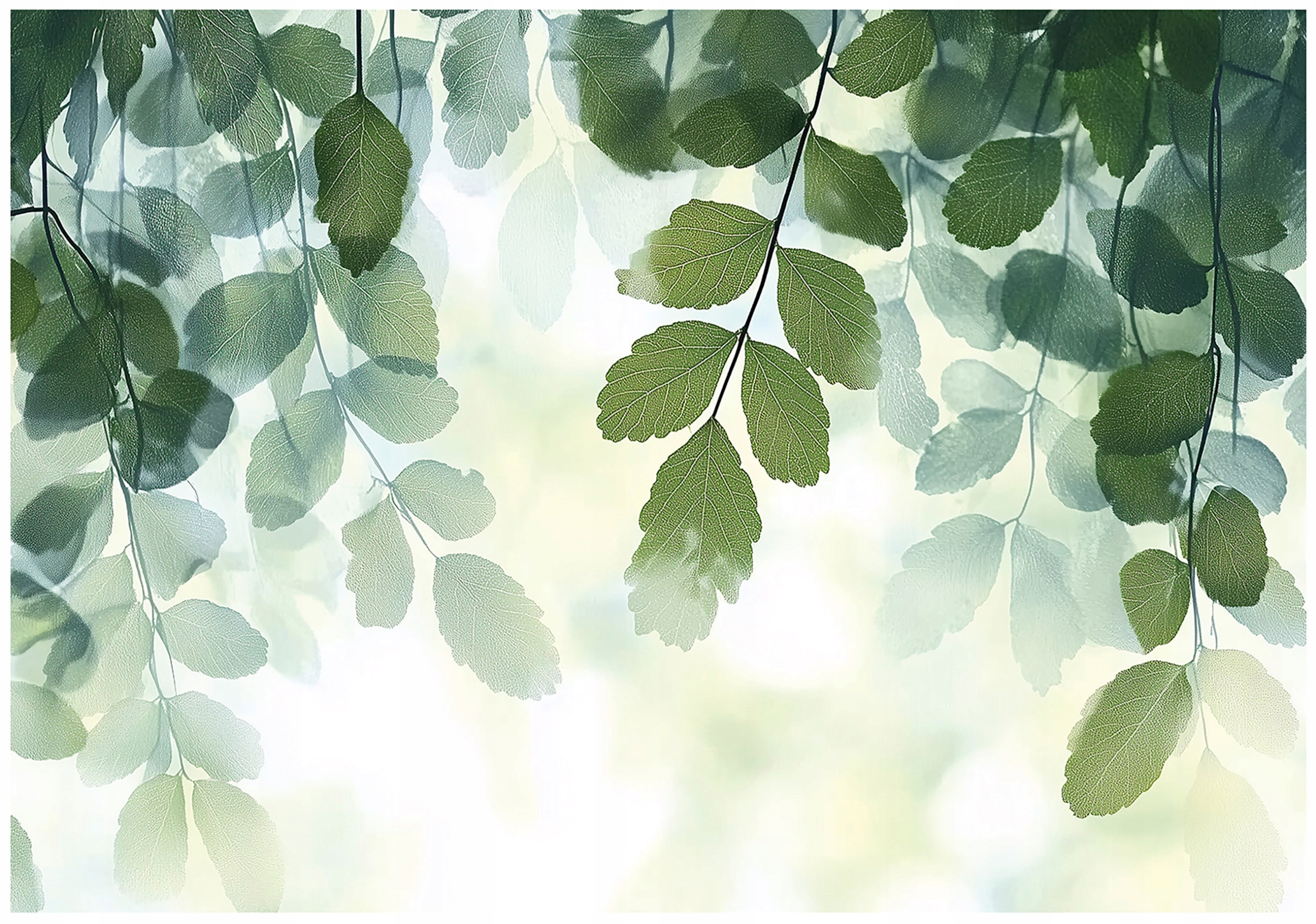 Fototapeta Listy Zelená Príroda Spálňa Obývacia Izba Tapeta Flizelina 400x280