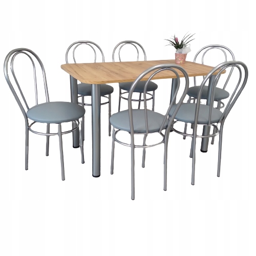 Zestaw stol 120/69 + 6 krzesla tulipan SREBRNE