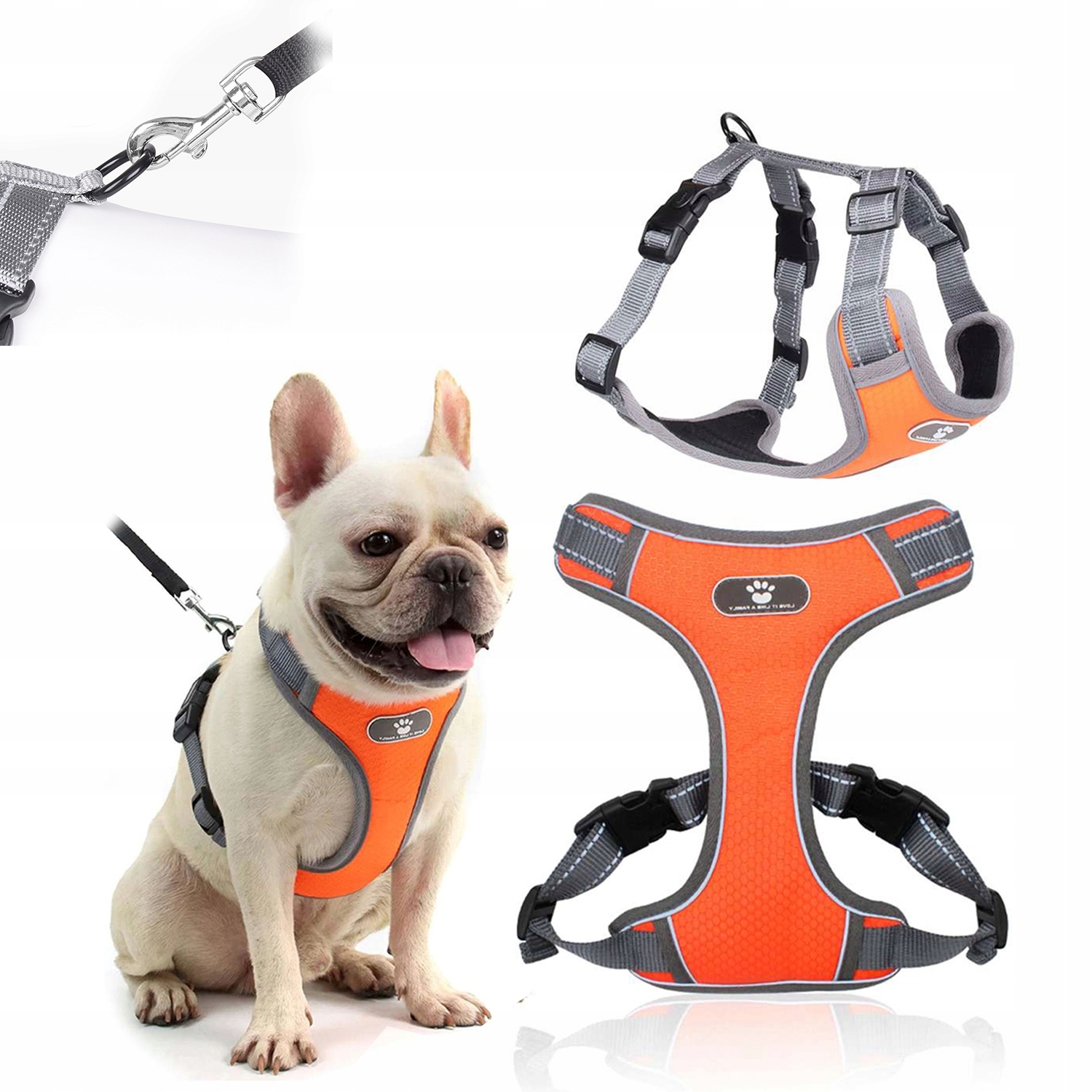 Levně Postroj Pro Psa Kočku Beztlakový, Prodyšný, Beztlakový, S Vodítkem M, Pohodlný