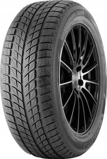 2x DoubleStar DW09 245/45 R18" 96T