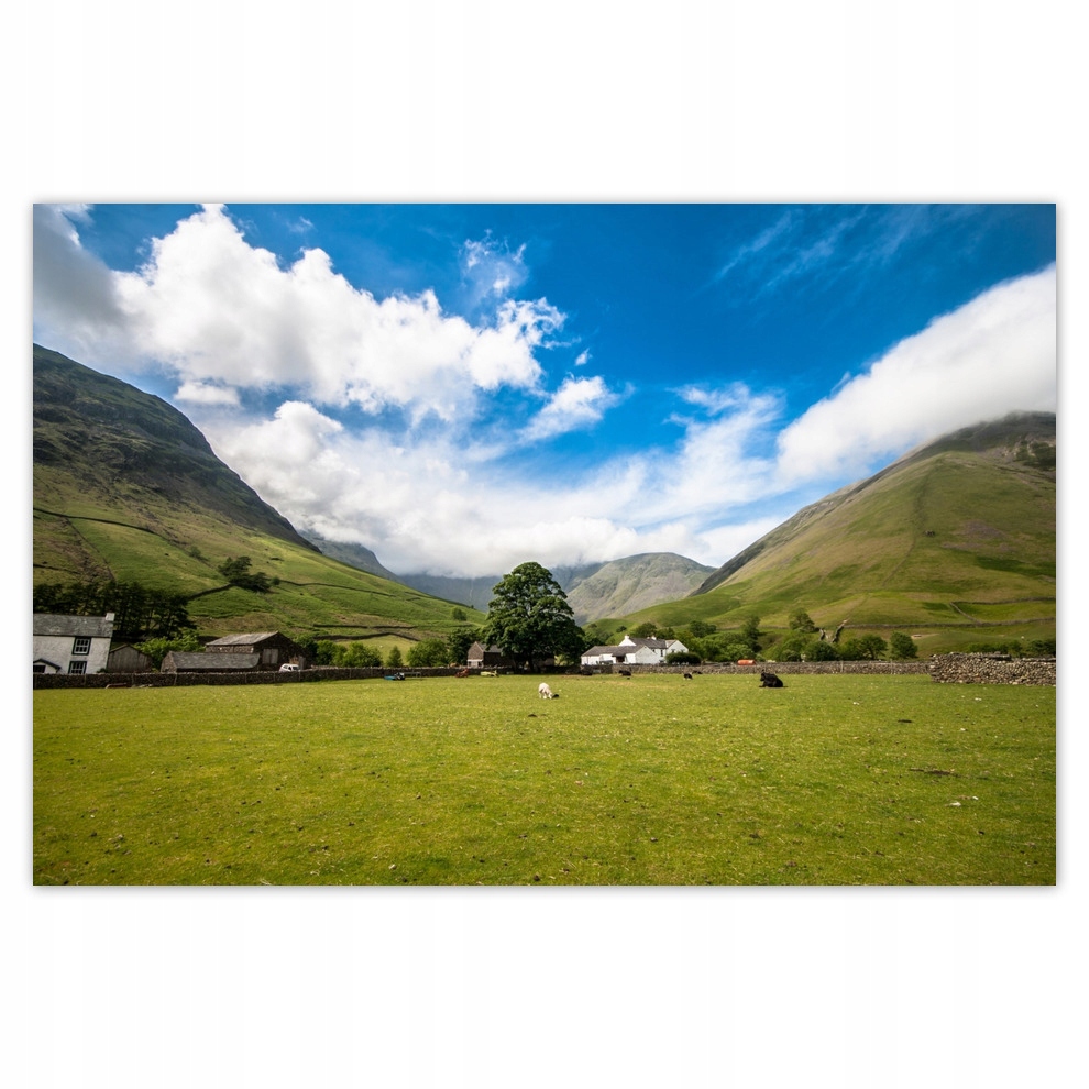 

Plakaty 93x62 Wypas owiec