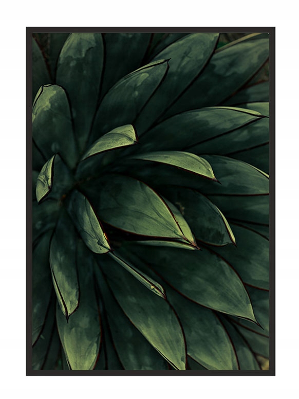 

Obraz Plakat W Ramie 53x73 cm Liście P845