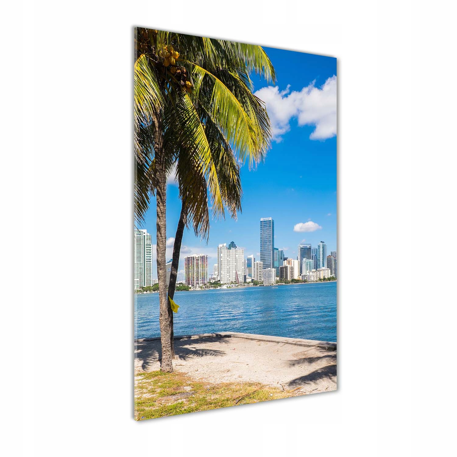 Skleněný obraz na zeď do obývacího pokoje Miami 50x100