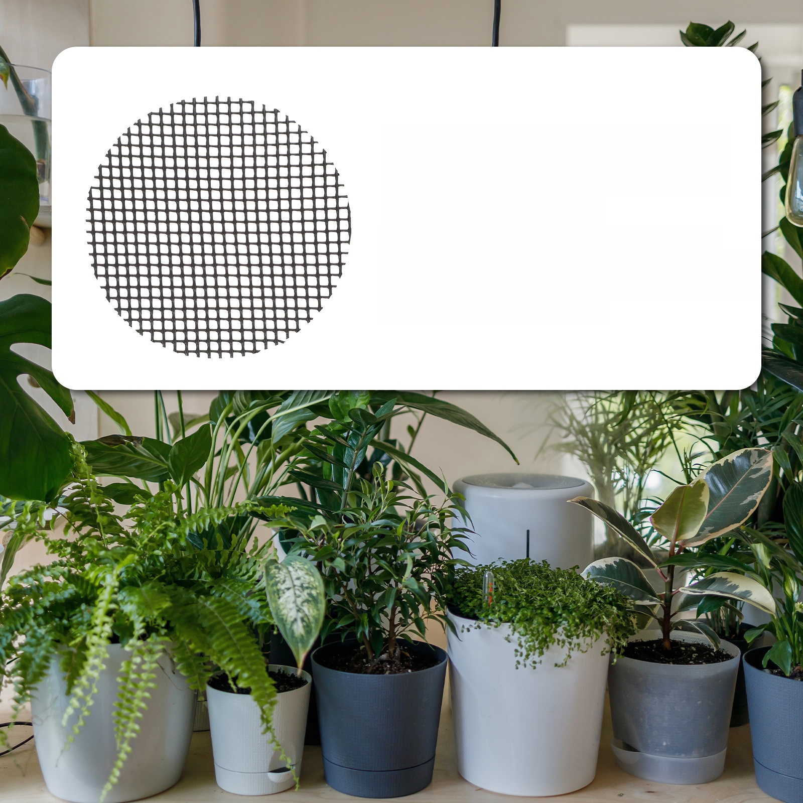 DONICZKI Z SIATKĄ DOLNĄ PODSTAWKI ROŚLINNE Wysokość produktu 10 cm