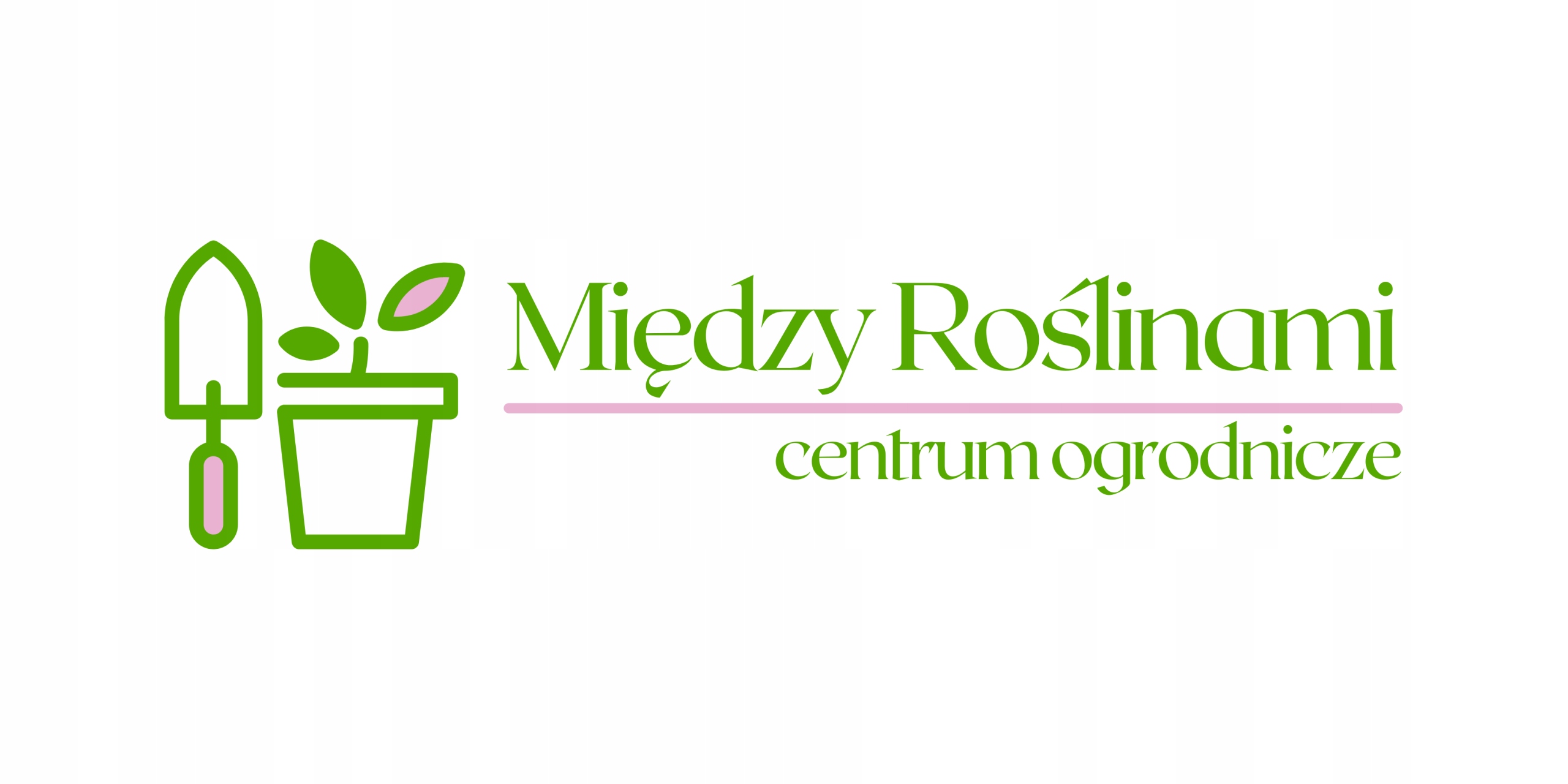 Filodendron scandens Lemon Lime Polski producent