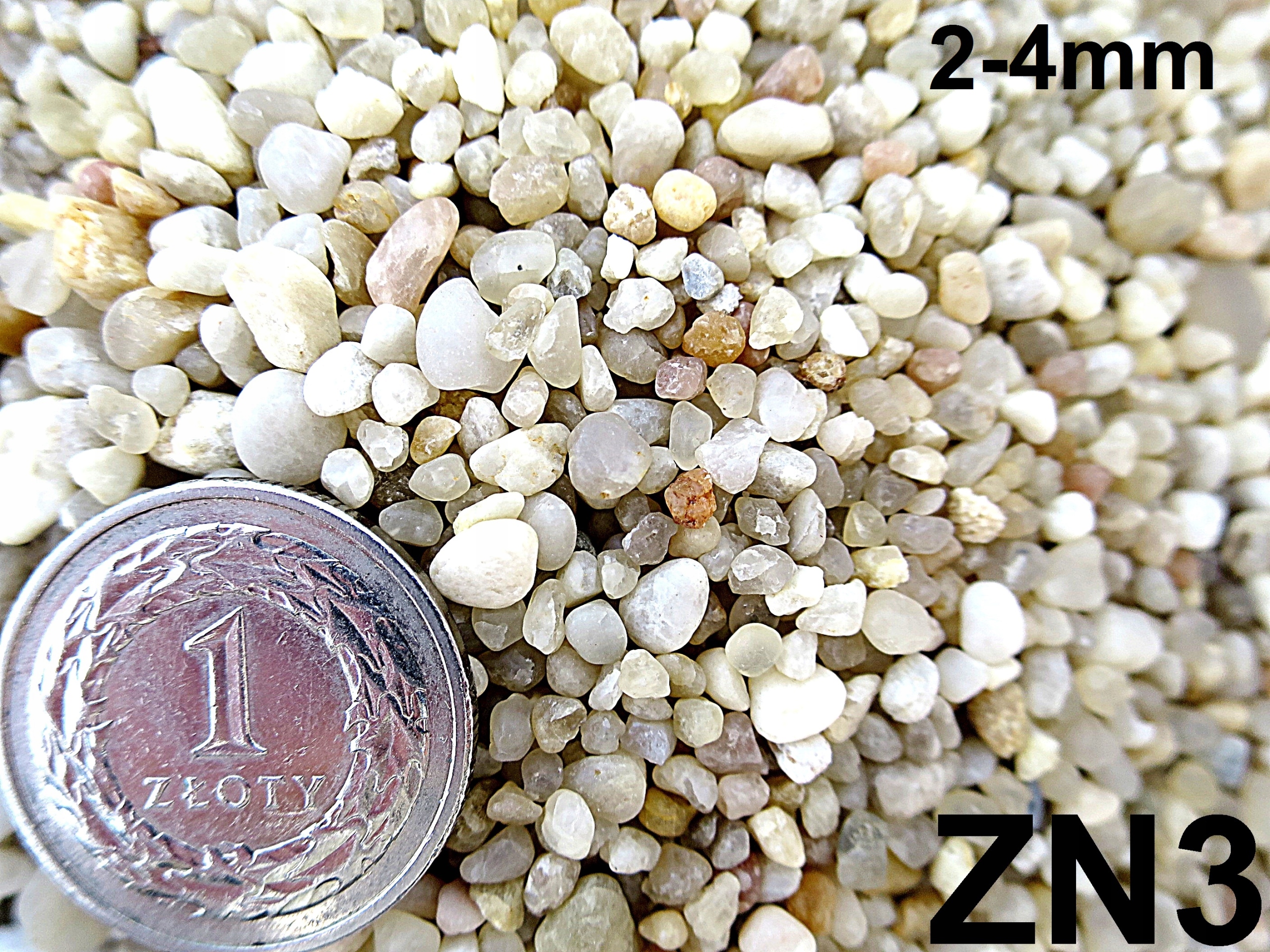

Żwirek Naturalny Do Akwarium 2-4 Las W Szkle 24KG
