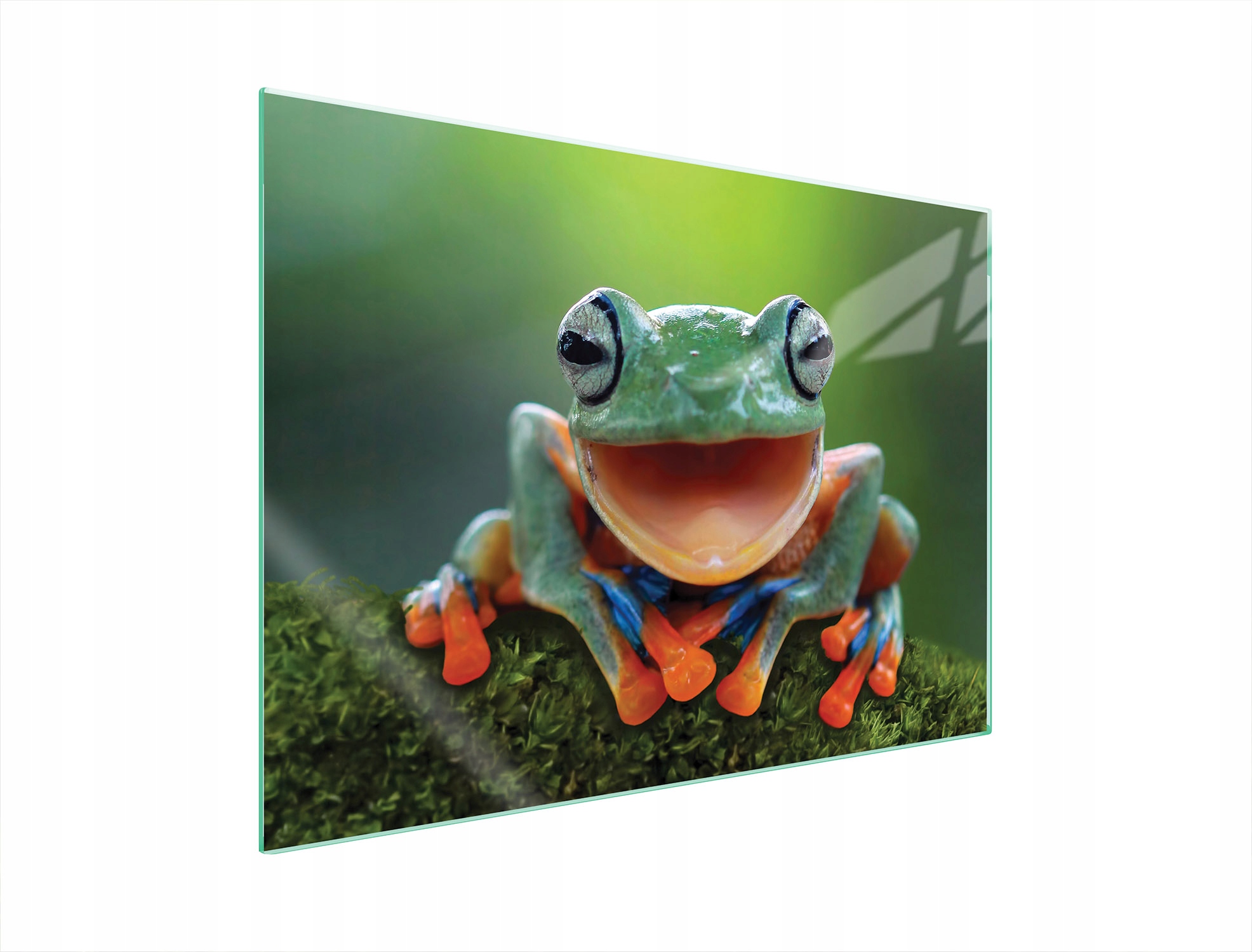 Skleněná Ochranná Deska Na Sporák 70x52 Žába Tvrzené Sklo