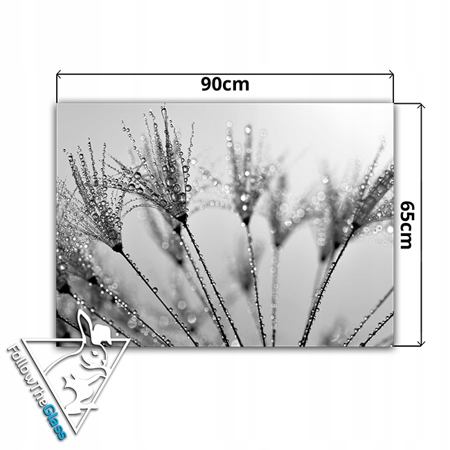 dekor szkło panel hartowany HD 90x65 dmuchawiec Typ dekor