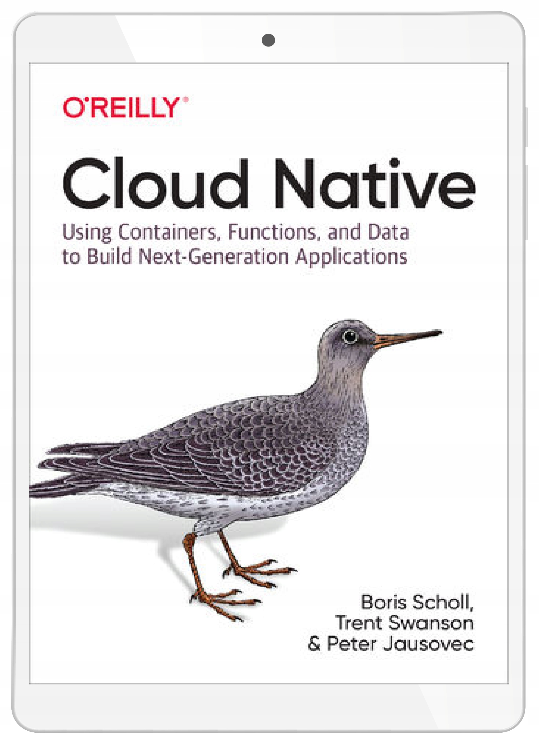 Cloud Native. Using Containers, Functions, and