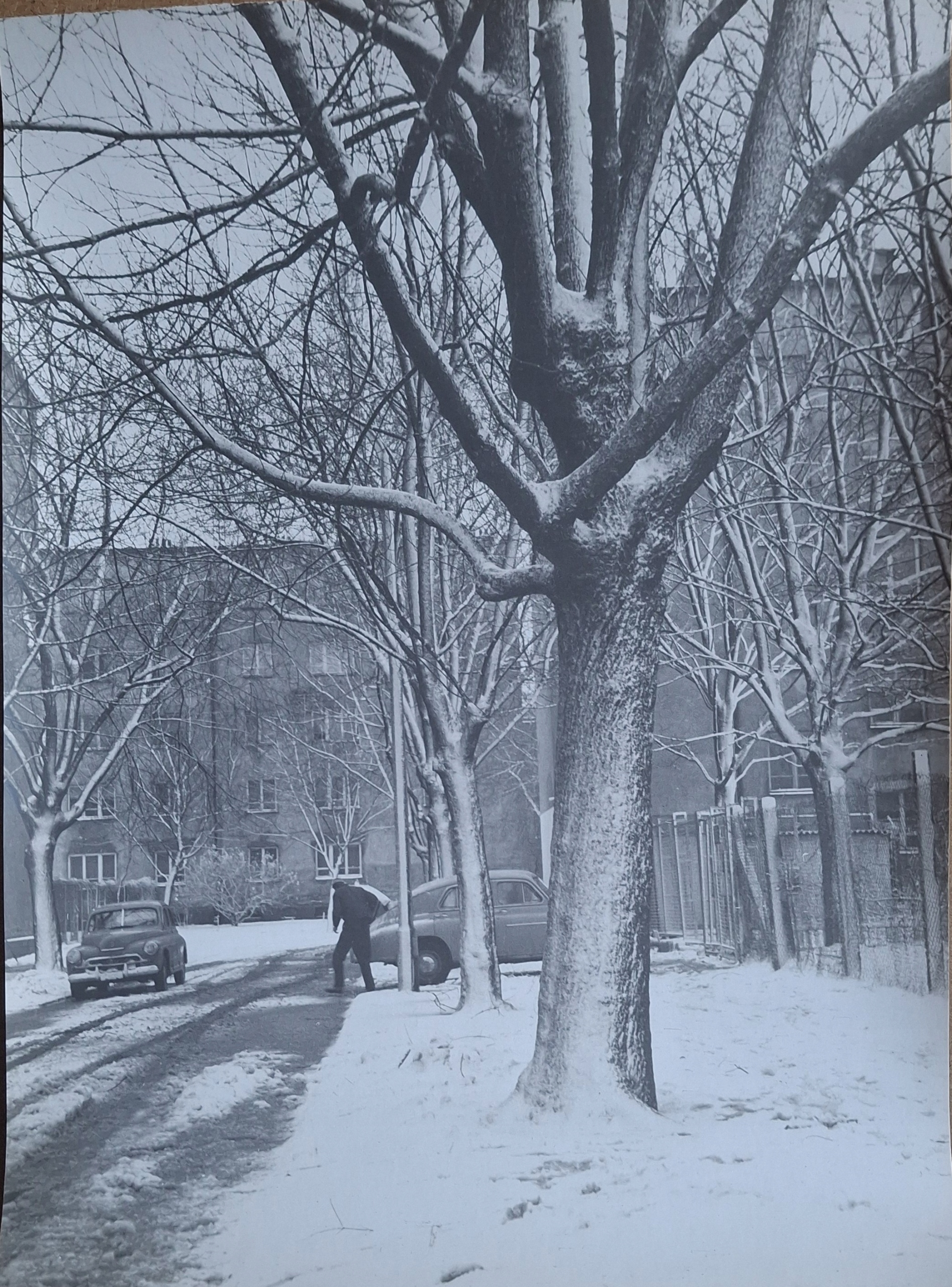 WARSZAWA- ULICA,SAMOCHODY ZIMĄ 1962
