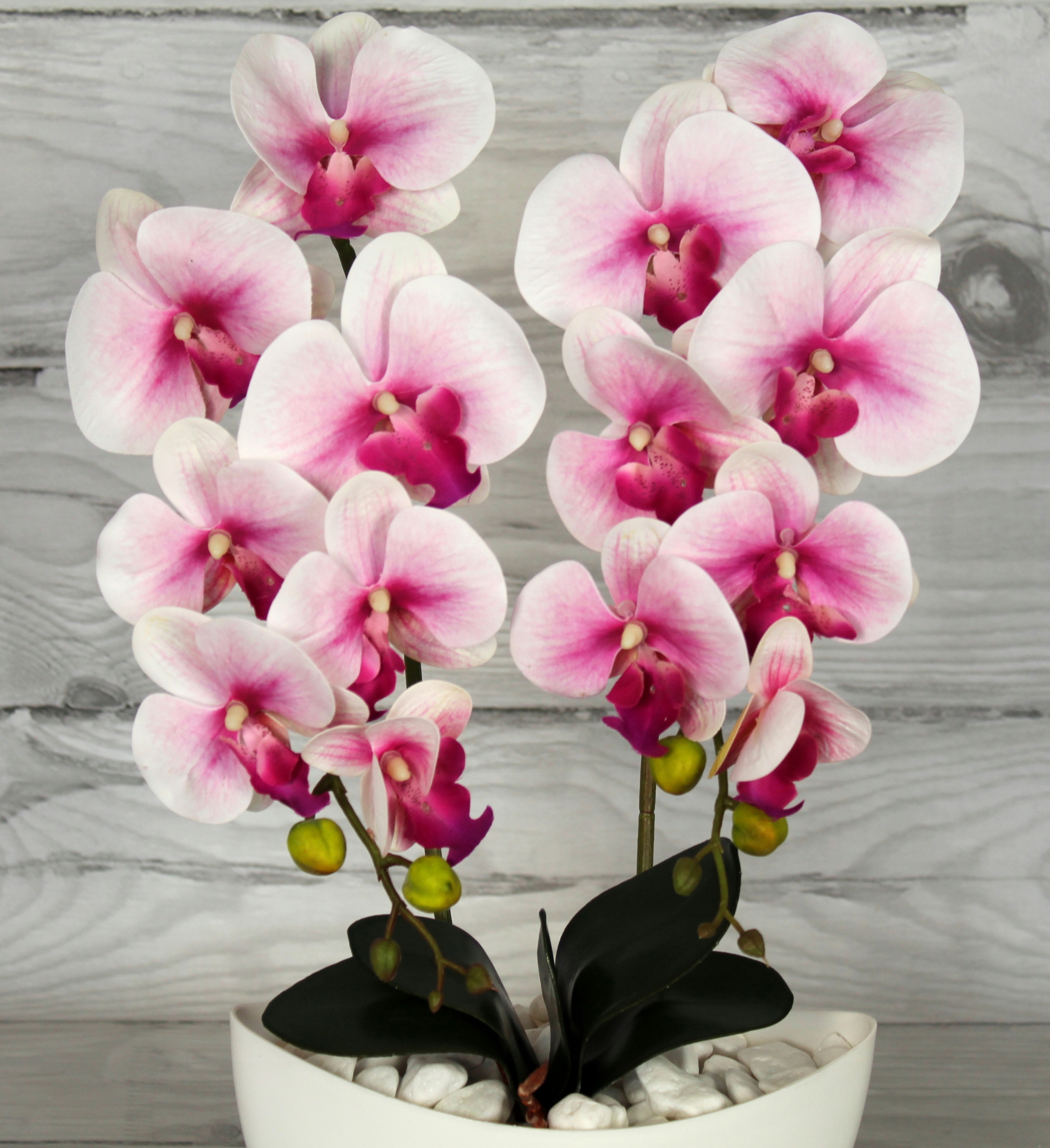 STORCZYK SZTUCZNY SILIKONOWY ORCHIDEA KWIAT Kod producenta Storczyk silikonowy