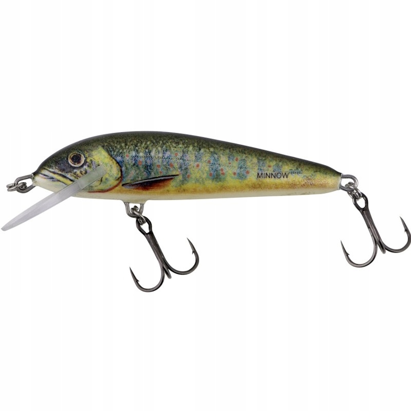 Wobler Salmo Minnow Lake Charr 6cm 6g 1-1.5m Tonący Kiiler Na Pstrąga