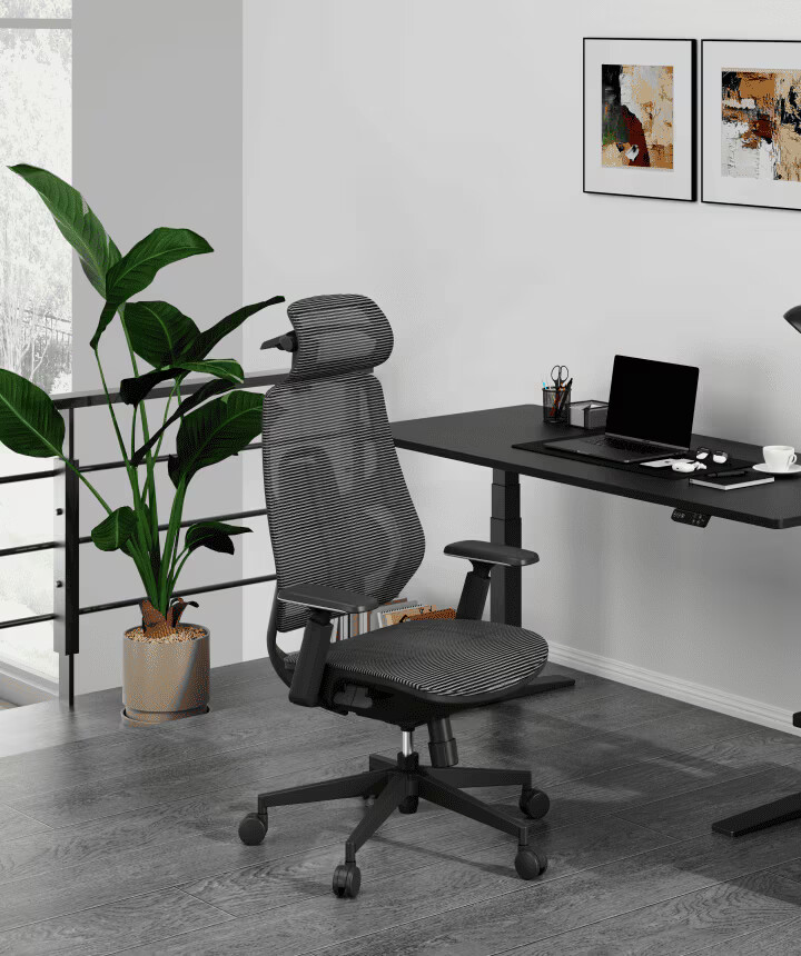 Krzesło Biurowe z Regulacją bez schylania się Flexispot BS7 czarno szary