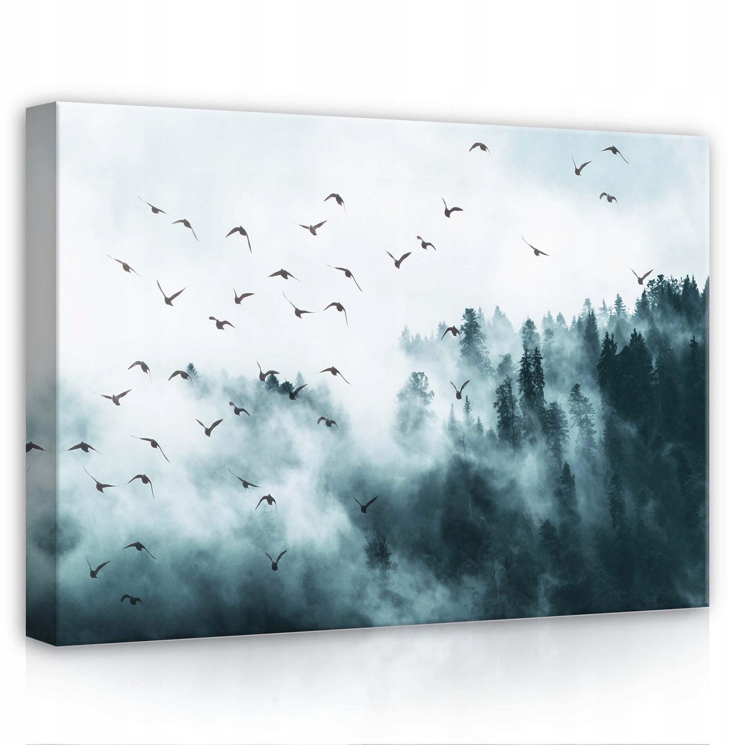 Obraz 70x50 Mlha les stromy ptáci nebe klid mystika příroda ticho