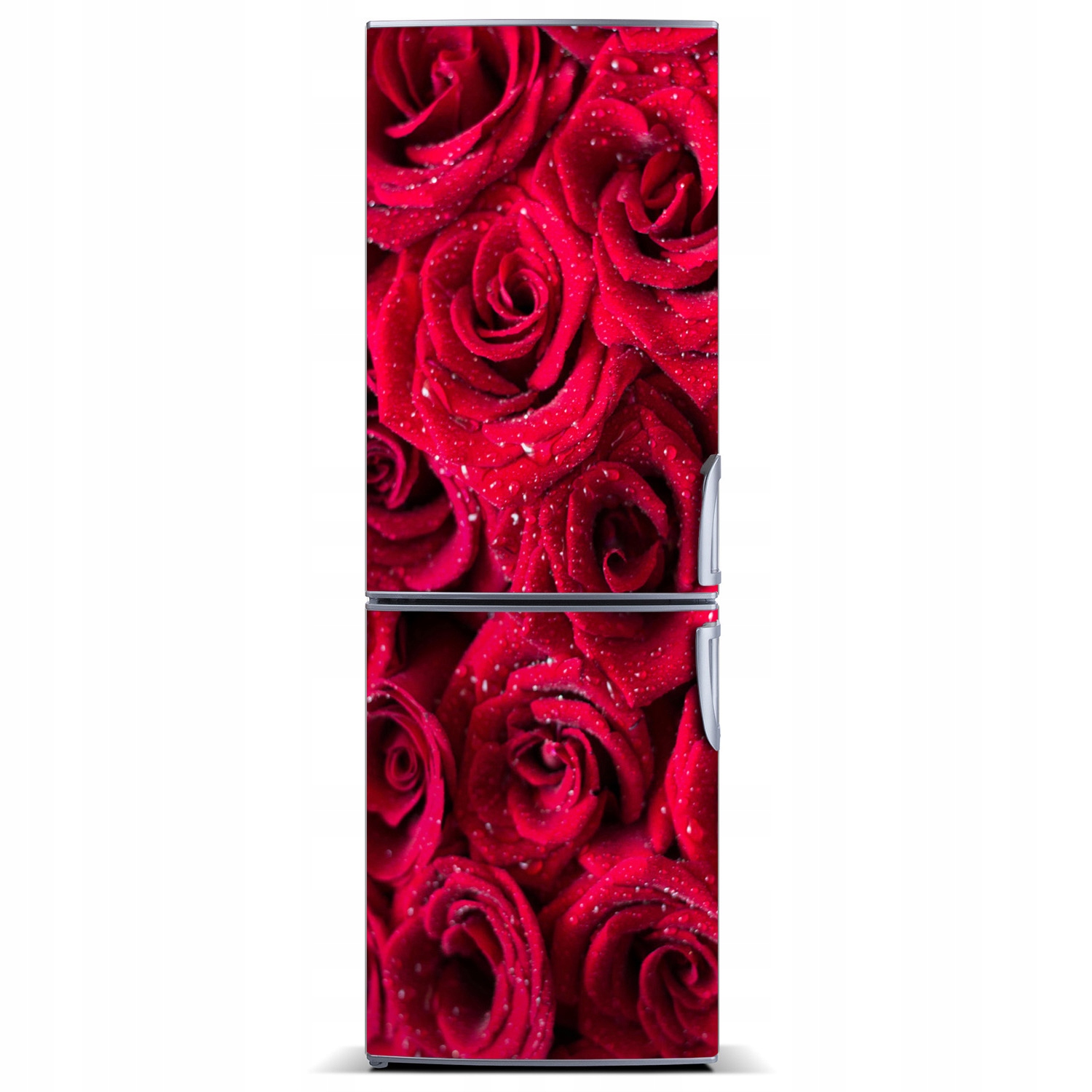 

Nalepka Foto Tapeta na lodówkę Czerwone róże XL