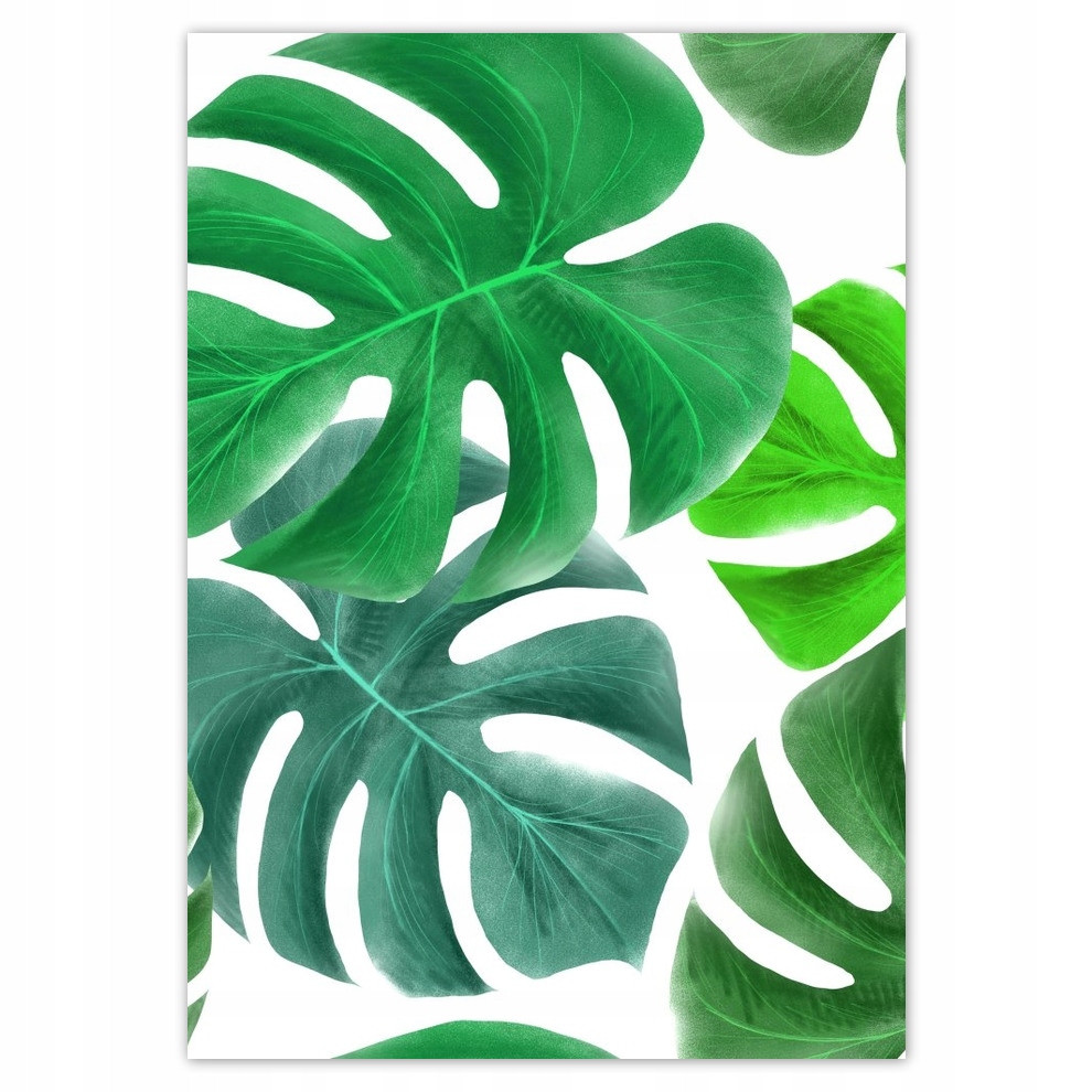 

Naklejki 70x100 Liście monstery Tropiki