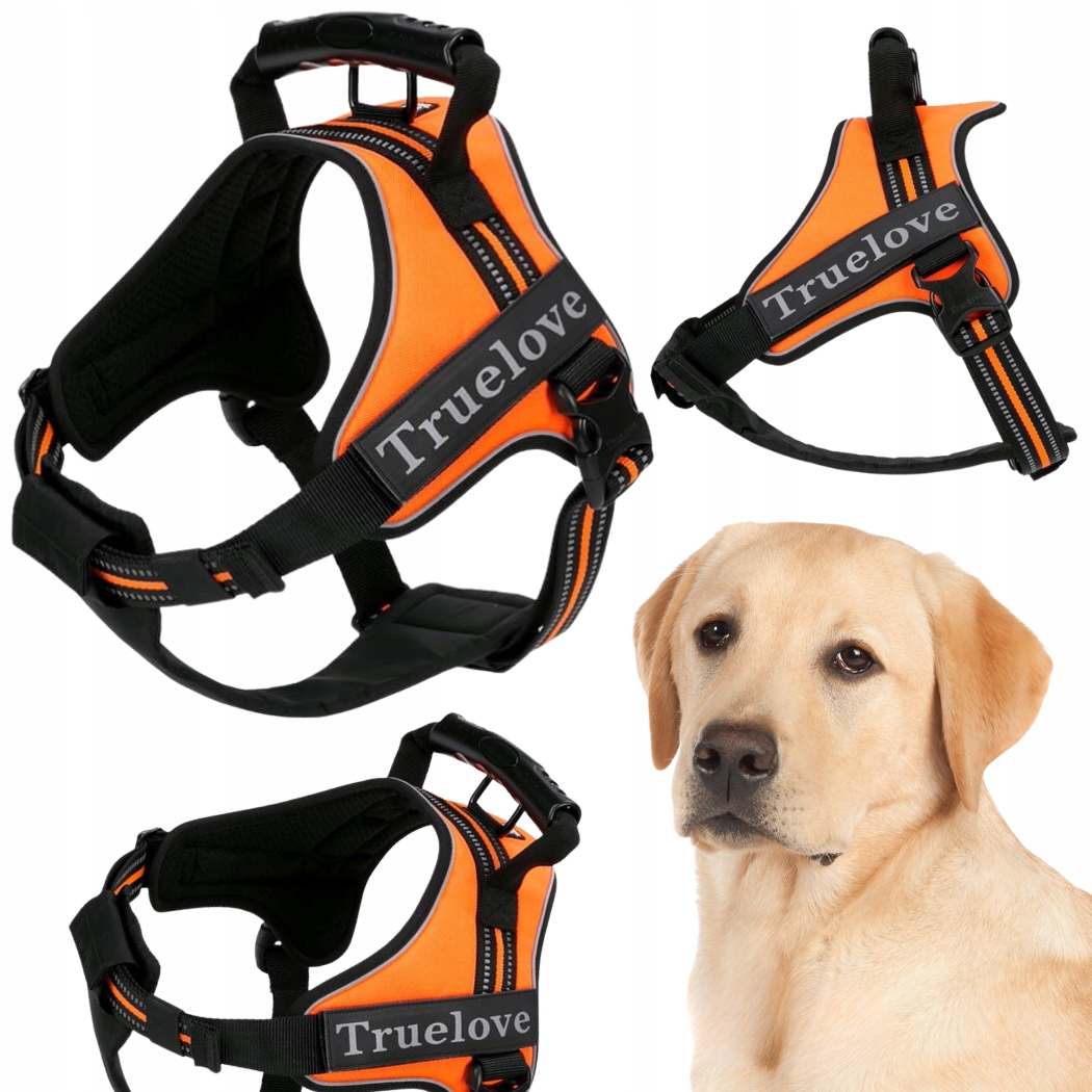 Levně Postroj Pro Psa Pracujícího S Rukojetí Truelove Outdoor Oranžový