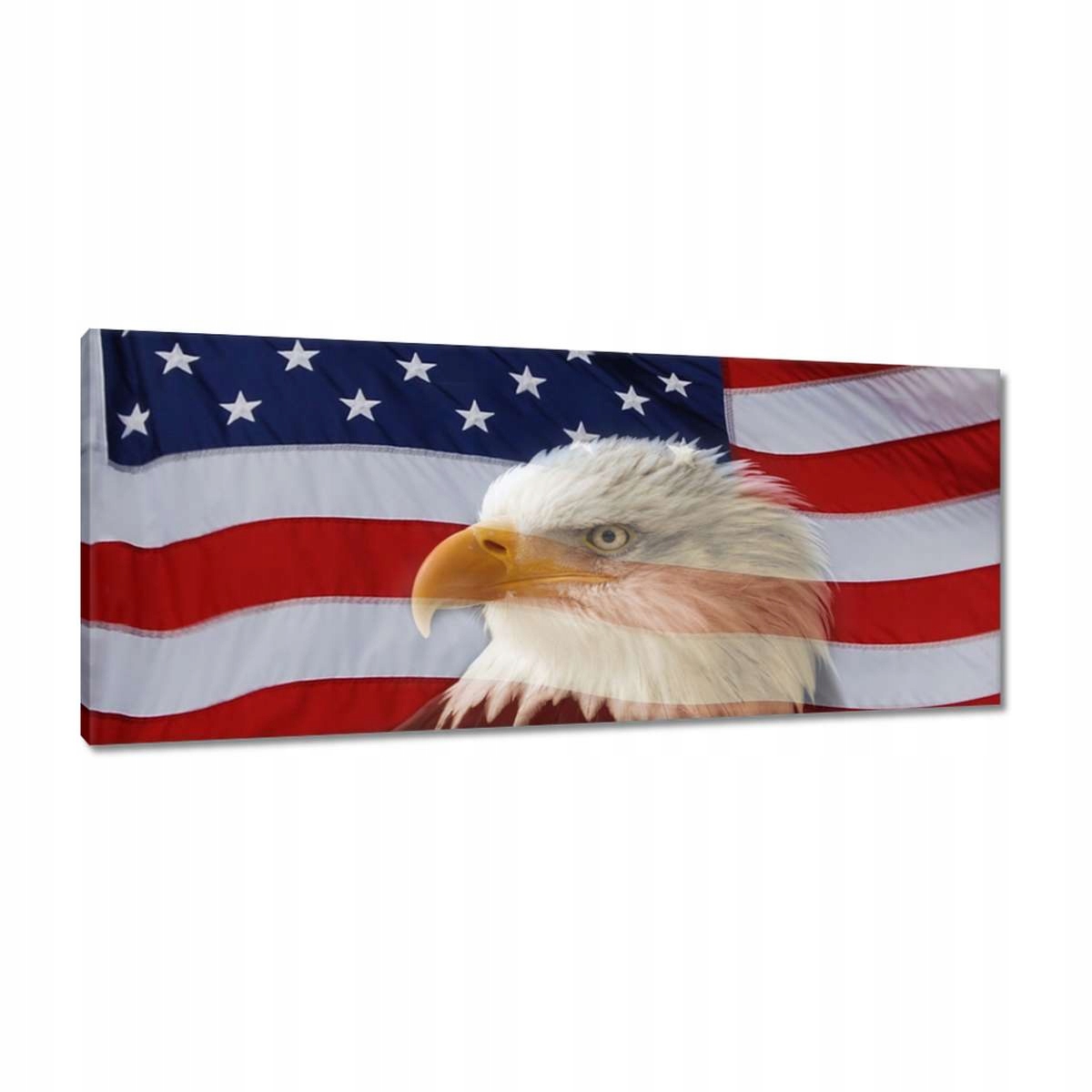 Obrazy 100x40 Freedom z Usa