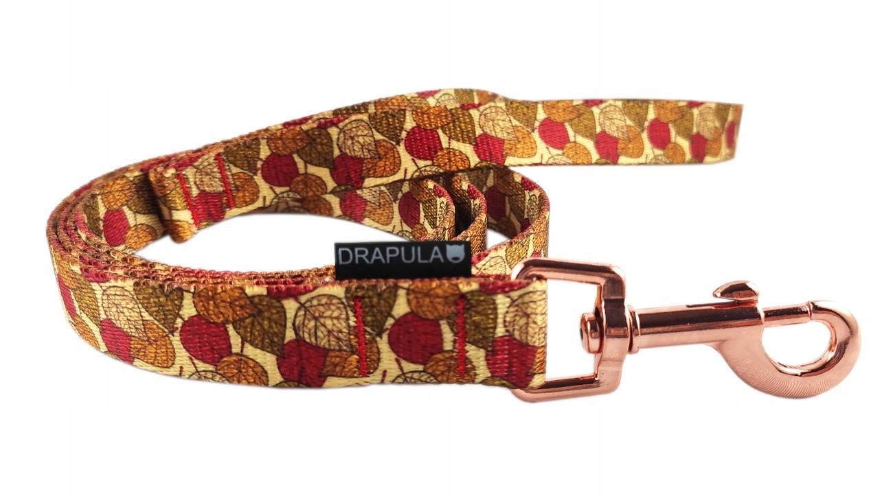 

Smycz S/m dla psa drapula 130cm Gold 2cm