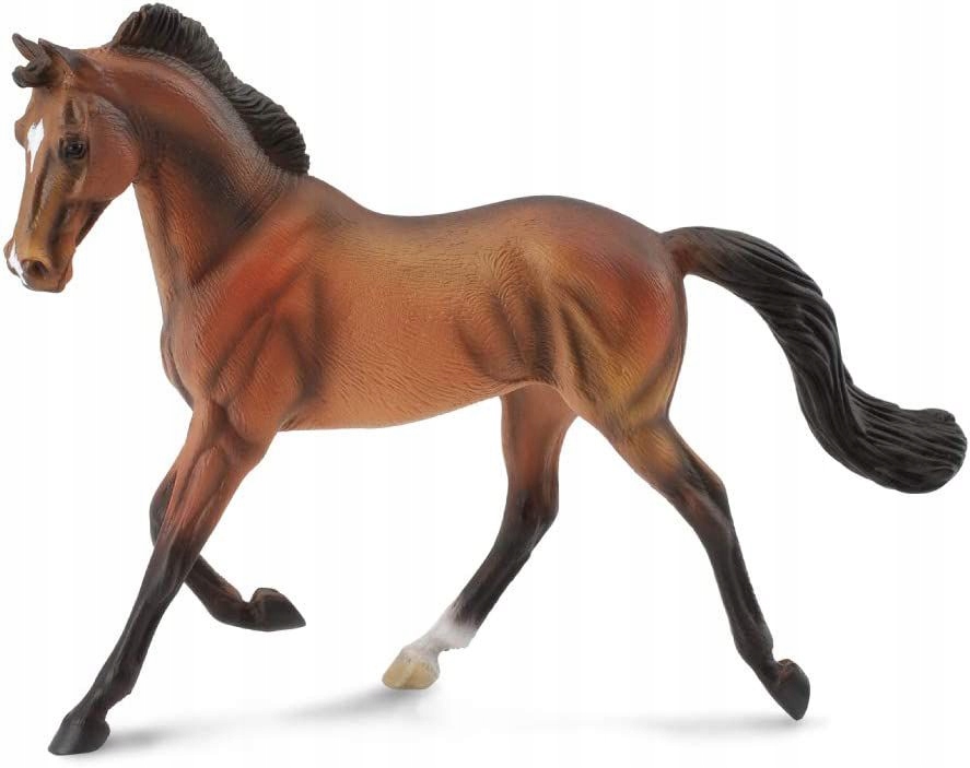

Klacz Thoroughbred Maści Bay (figurka)